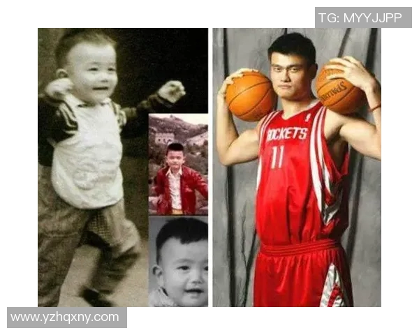 全明星背后的故事：从少年到巨星之路